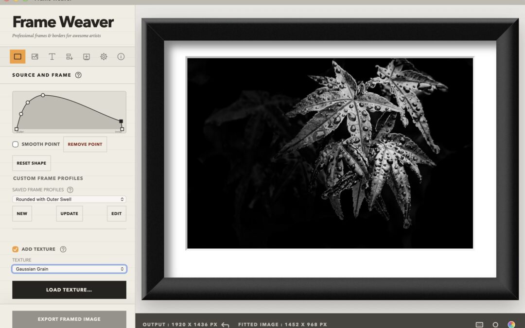 Extensive Frame Customization in Frame Weaver V1.2.0